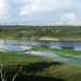 Manacapuru_2011_233_thumb