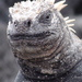 Dsc00330_thumb