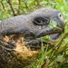 Dsc00695_thumb