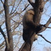 Dsc00941_thumb