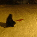 Dsc01551_thumb