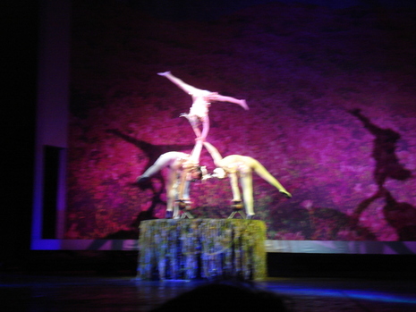 Dsc04193