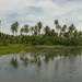 Dsc06483_thumb