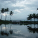 Dsc06685_thumb