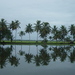 Dsc06686_thumb