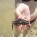 Dsc00093_thumb