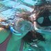 Gbr_thumb
