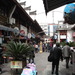 Dsc04266_thumb