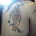 Tigertat_thumb