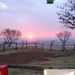 Dsc02442_thumb