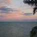 Dscf5661_thumb