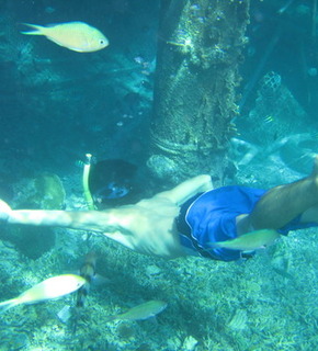 Redang_beach-diving_28_may_07_disc_2_025_medium