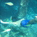 Redang_beach-diving_28_may_07_disc_2_025_thumb