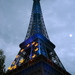 Dsc03529_thumb