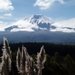 Cotopaxi_4_thumb
