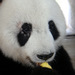 Dsc02677_thumb