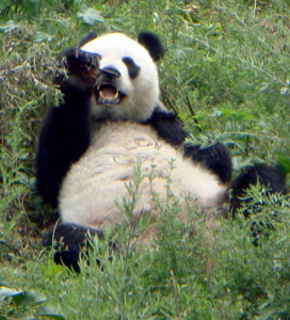 Dsc02933d_medium