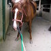 P7240001_thumb