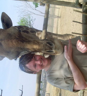 Lion_park_south_africa_136_medium