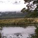 South_island_new_zealand_226_thumb