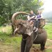 N503762523_1669550_2750_thumb