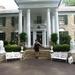 Graceland_thumb