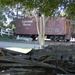 Hpim0082_thumb
