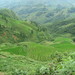 Vietnam_316_thumb