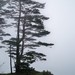 100_1301_thumb