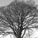 Img_0067_thumb