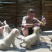 Lion_park_south_africa_168_thumb