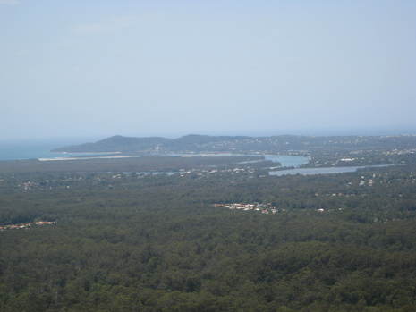 Picture_151