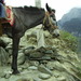 Leaving_kunming_lijiang_069_thumb