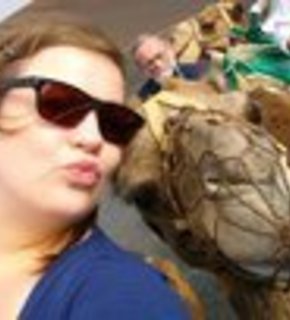 Camel_medium