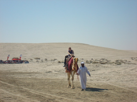 Dsc01382
