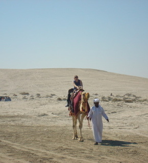 Dsc01382_medium