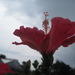 Farm_048_thumb