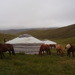 Mongolia_magic_412_thumb