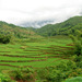 40_mai_chau_thumb