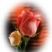 Images_thumb