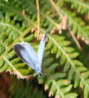 Dsc00040_medium