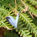 Dsc00040_thumb