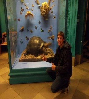 Galapagoing_medium