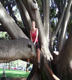 I_m_in_a_tree_medium