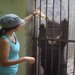 TravelMonkey