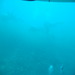 Bali_stage_2_074_thumb