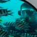 Bali_stage_2_054_thumb