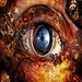 Eye-camera_1920x1200_thumb