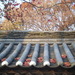 Dscf5342_thumb