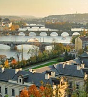 Czech_medium